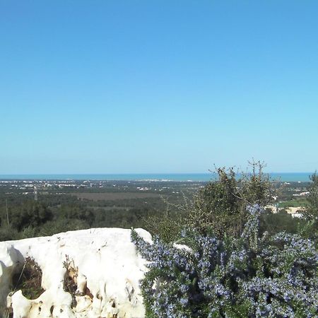 Agriturismo Masseria Spetterrata Cisternino Kültér fotó