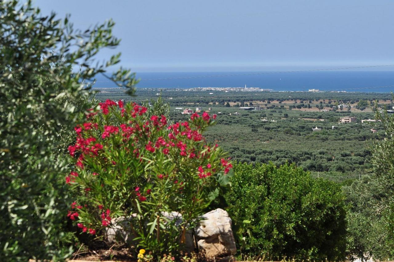 Agriturismo Masseria Spetterrata Cisternino Kültér fotó